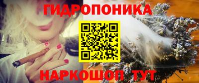 индика Конаково