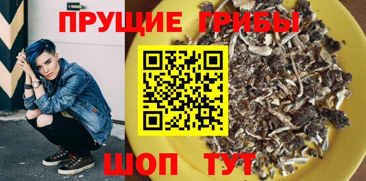 Воткинск  Псилоцибиновые грибы ЛСД  Вход с VPN 